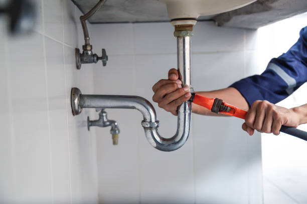 Best Emergency Plumber  in Wathena, KS
